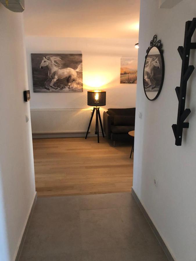 Apartment Molly Zagrzeb Zewnętrze zdjęcie